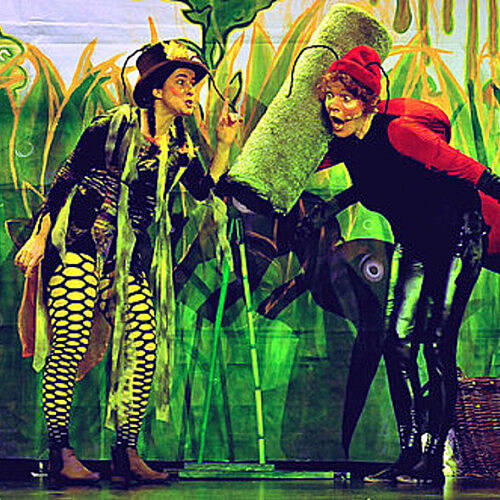 DIE GRILLE & DIE AMEISE