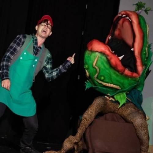 ABO: Musical Factory Marchfeld - Der kleine Horrorladen